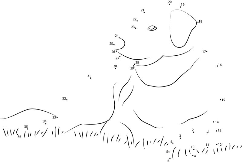 Dog See dot to dot worksheets