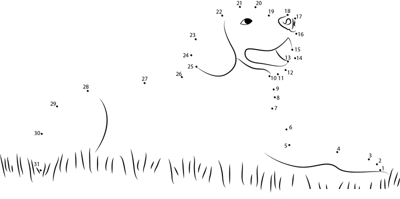 Dog Sitting In Grass dot to dot worksheets