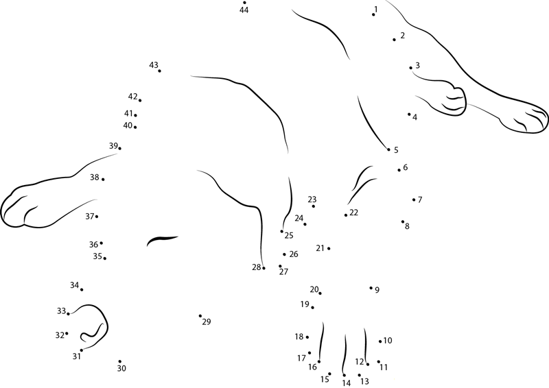 Dog Sleeping Up dot to dot worksheets