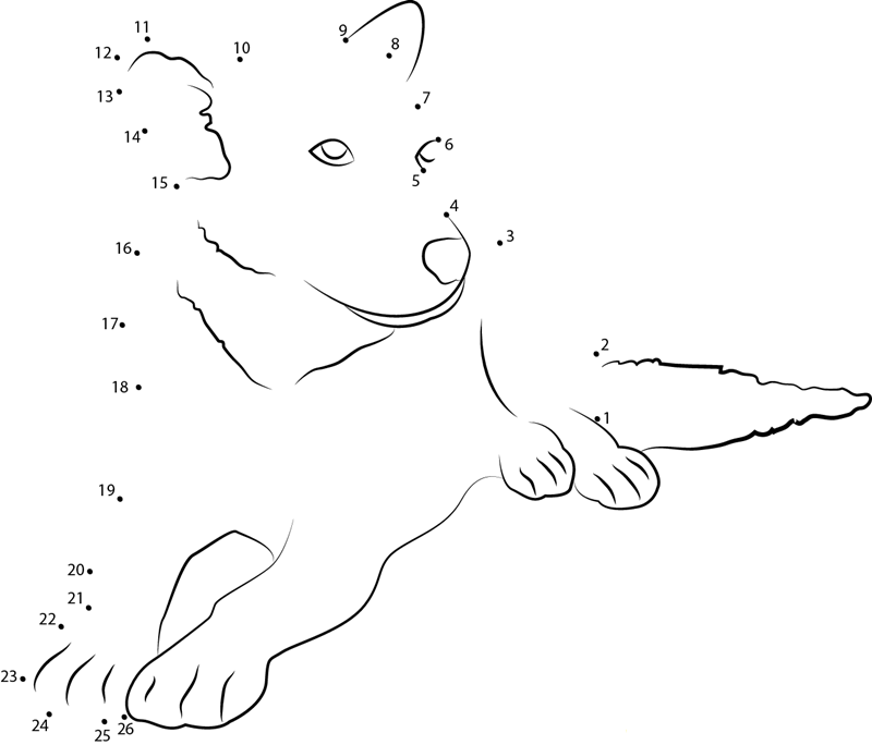 Dog White Face Eyes dot to dot worksheets