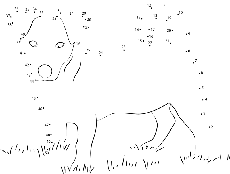 Dog With Up dot to dot worksheets