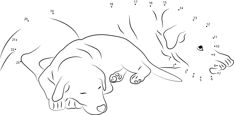 Dogs Are Sleeping dot to dot worksheets