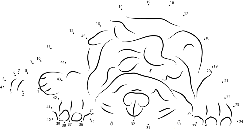 Fat Dog dot to dot worksheets