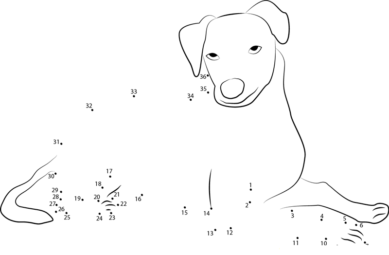 Fox Paulista dot to dot worksheets