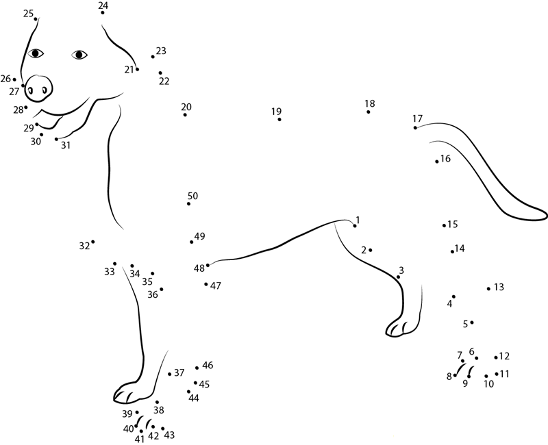 Greater Swiss Mountain Dog dot to dot worksheets