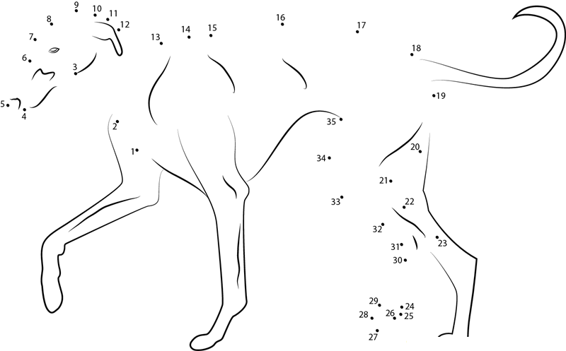 Greyhound dot to dot worksheets