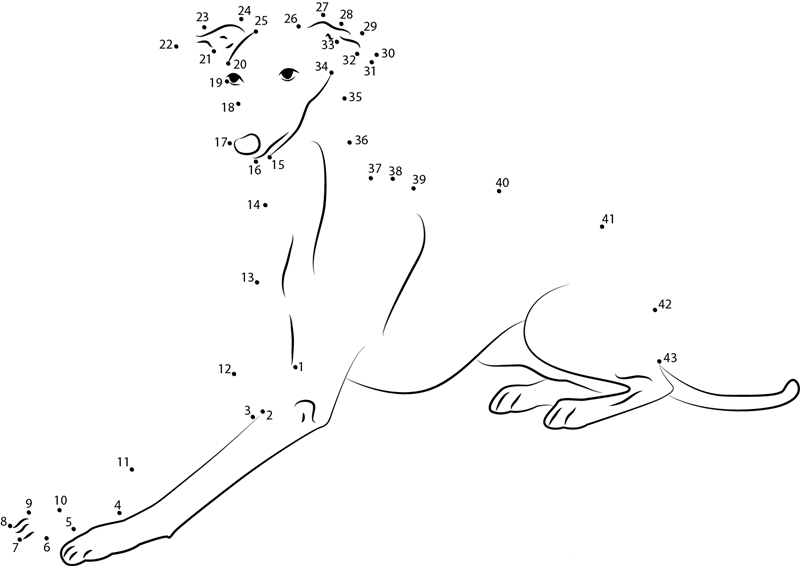 Italian Greyhound dot to dot worksheets