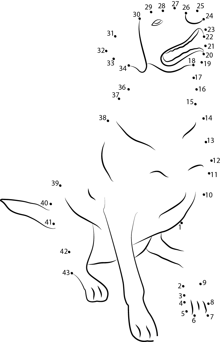 Labrador Retriever dot to dot worksheets