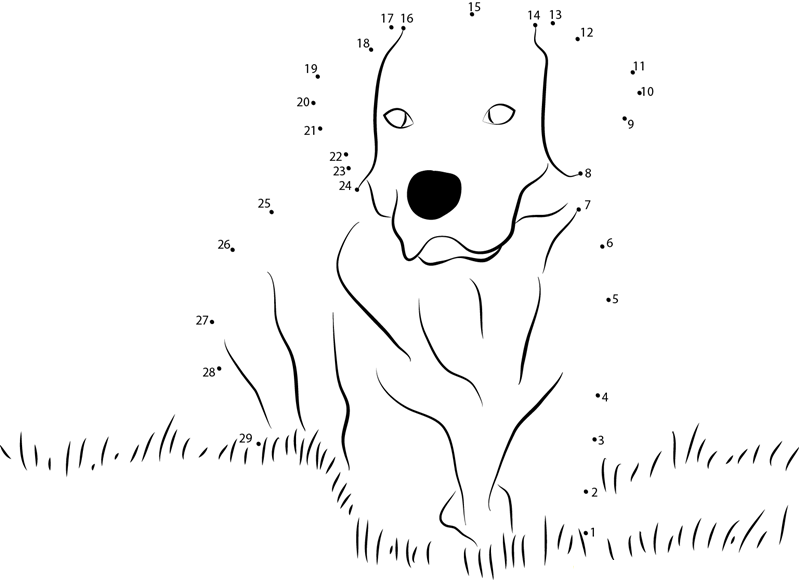 Labrador Retriever Yellow dot to dot worksheets