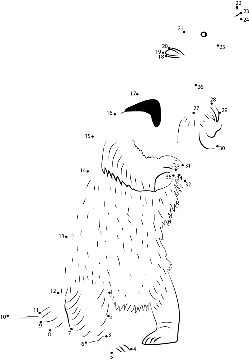 Anteater Standing dot to dot worksheets