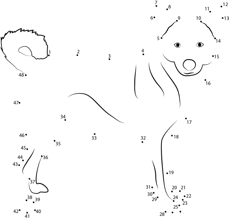 Standing Canaan Dog dot to dot worksheets