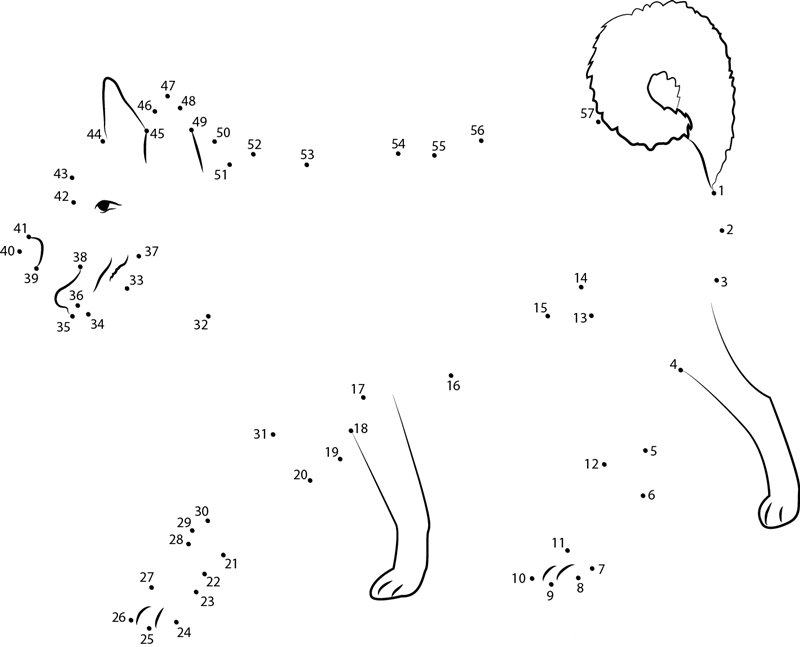 Walking Dog dot to dot worksheets