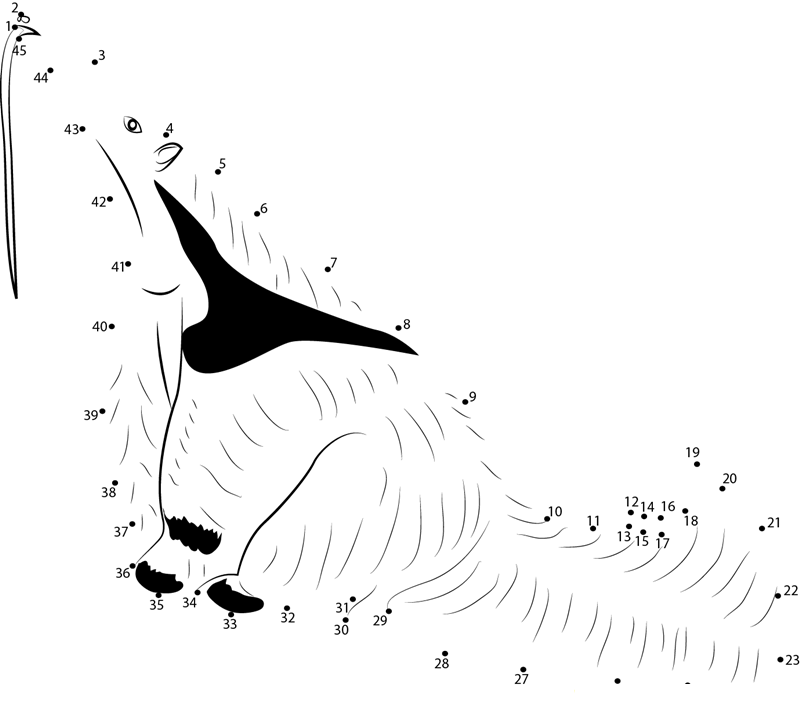 Free Anteater dot to dot worksheets