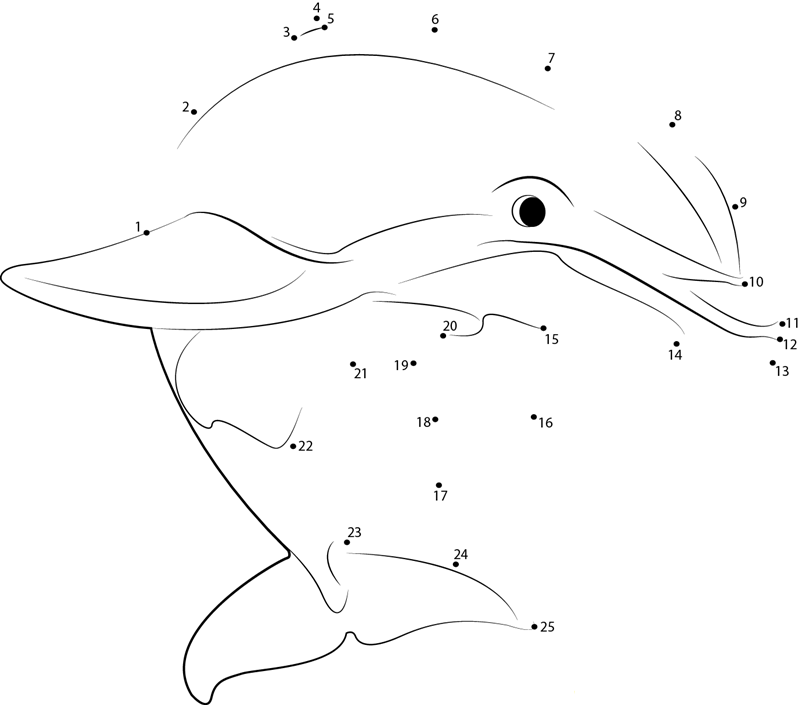 Beautiful Dolphin printable dot to dot worksheet