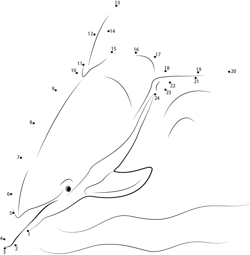 Casual Swim Dolphin dot to dot worksheets