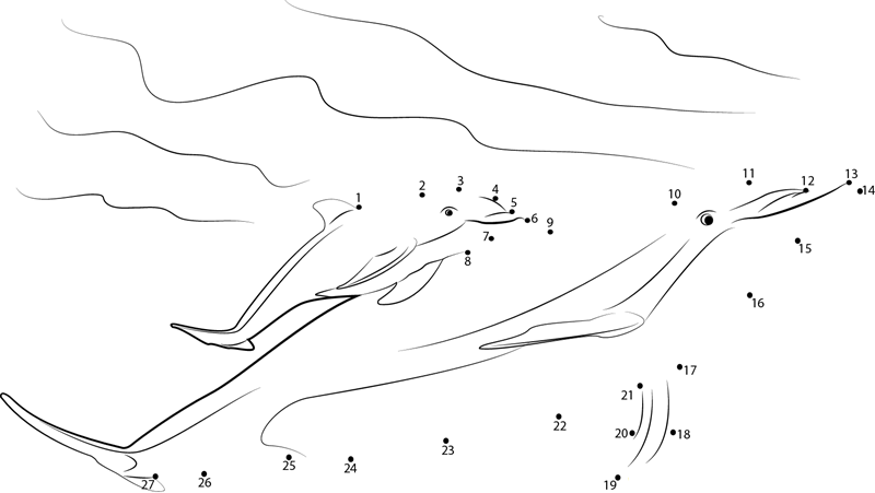 Cute Baby Dolphin printable dot to dot worksheet