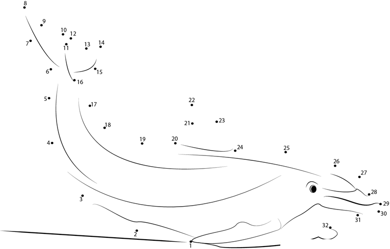 Dolphin printable dot to dot worksheet