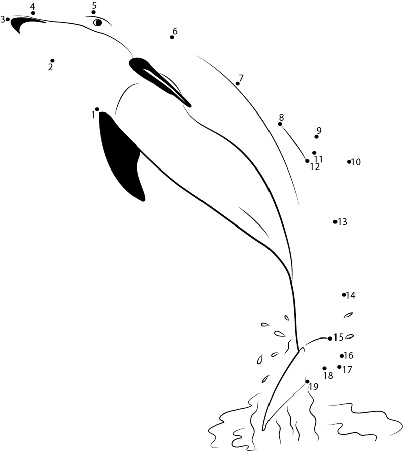 Dolphin Belly printable dot to dot worksheet