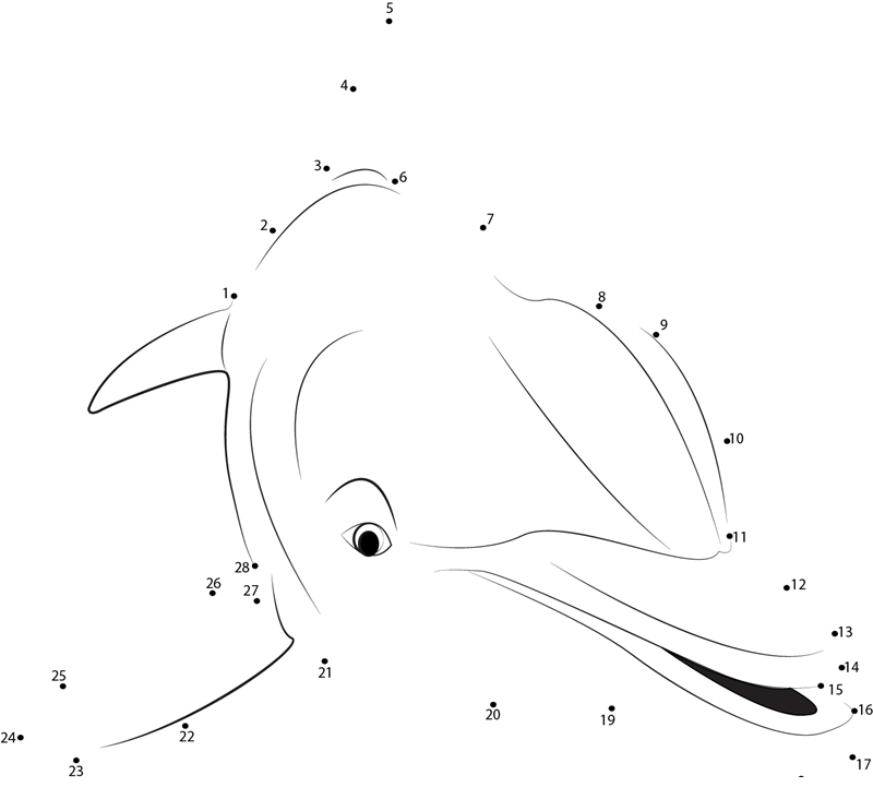 Dolphin Close Up printable dot to dot worksheet