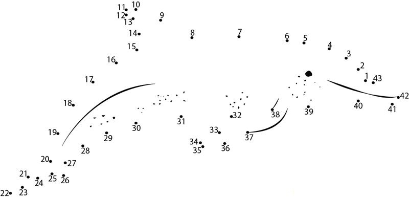 Dolphin Dot Pages 1 dot to dot worksheets