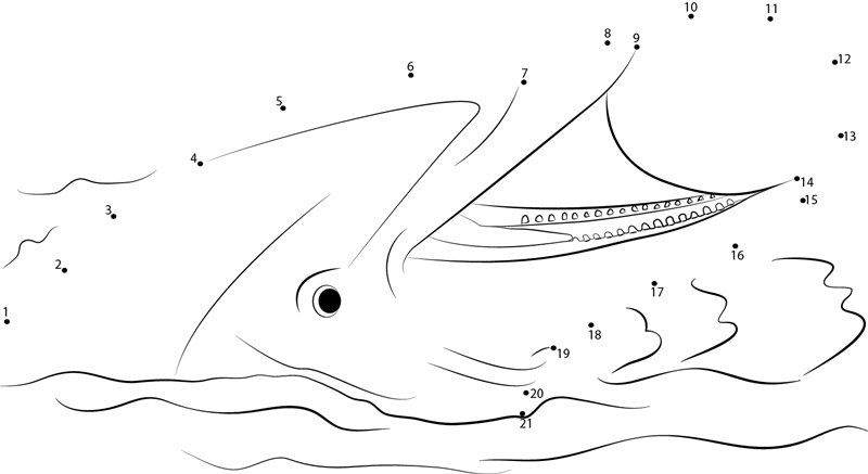 Dolphin With Ball dot to dot worksheets