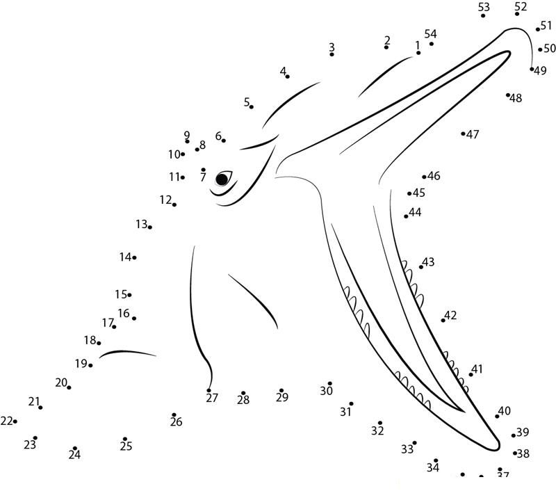 Dolphin Yawn dot to dot worksheets