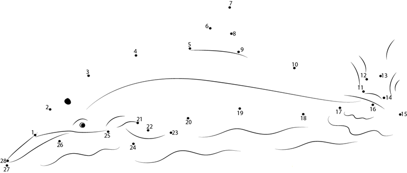 Spinner Dolphins printable dot to dot worksheet