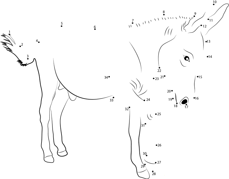 A Male Donkey dot to dot worksheets