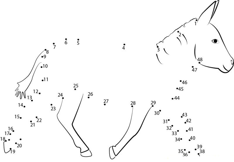 Baby Donkey printable dot to dot worksheet