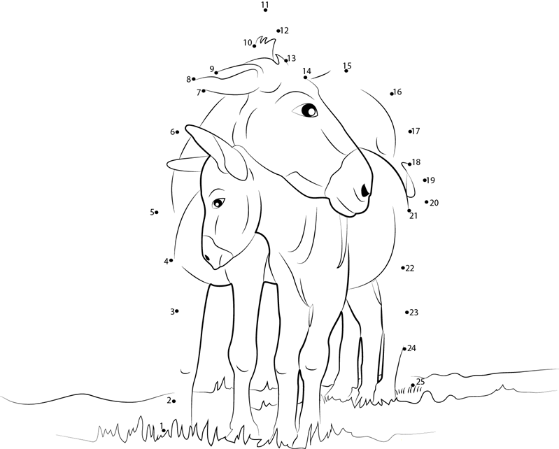 Cute Baby Donkeys dot to dot worksheets