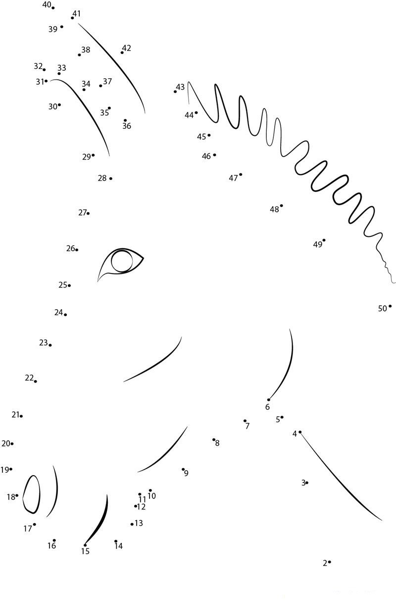 Donkey Face printable dot to dot worksheet