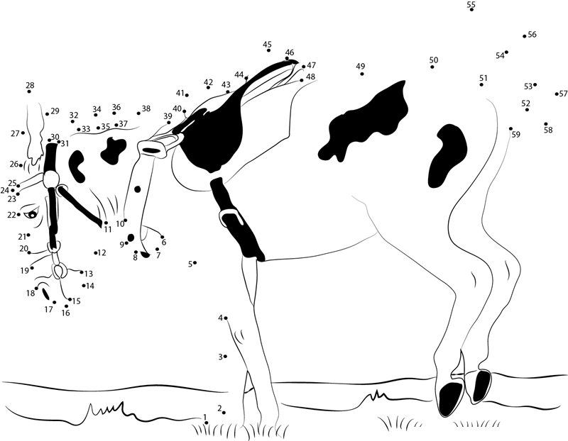 Donkey Kicking dot to dot worksheets