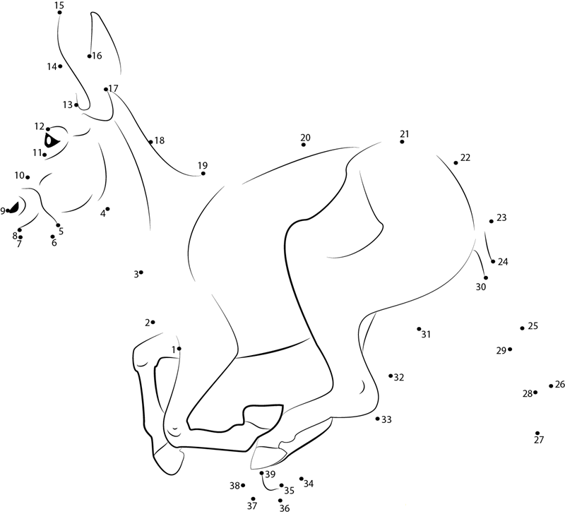 Donkey Run dot to dot worksheets