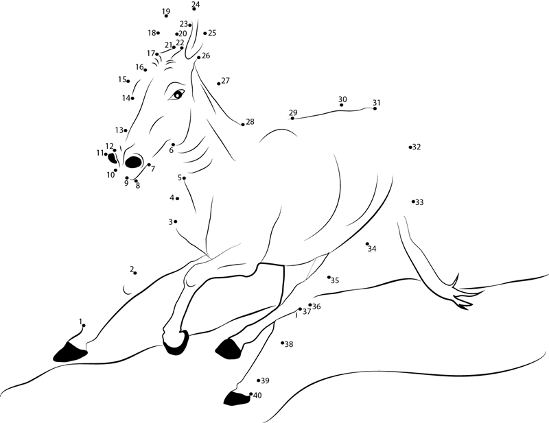 Donkey Running printable dot to dot worksheet