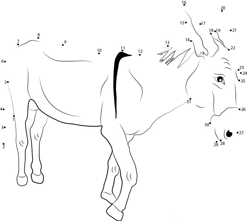 Donkeys Breeds dot to dot worksheets