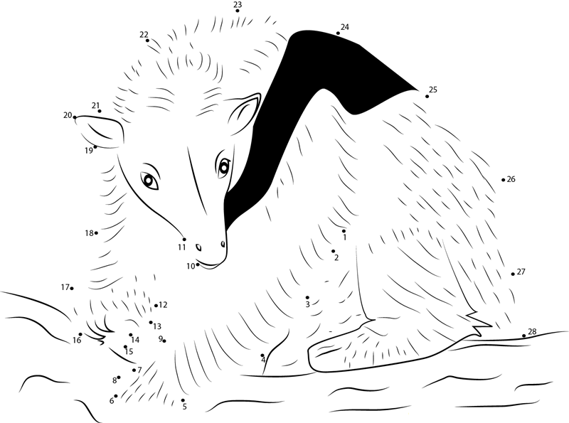 Northern Tanmandua Anteater printable dot to dot worksheet