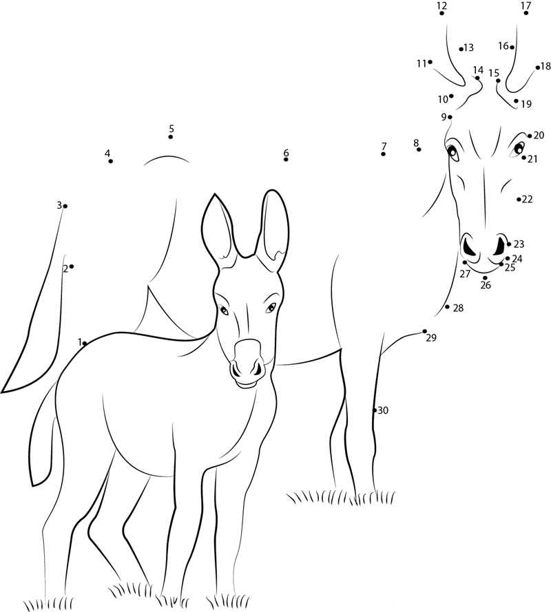 Ponui Donkey dot to dot worksheets