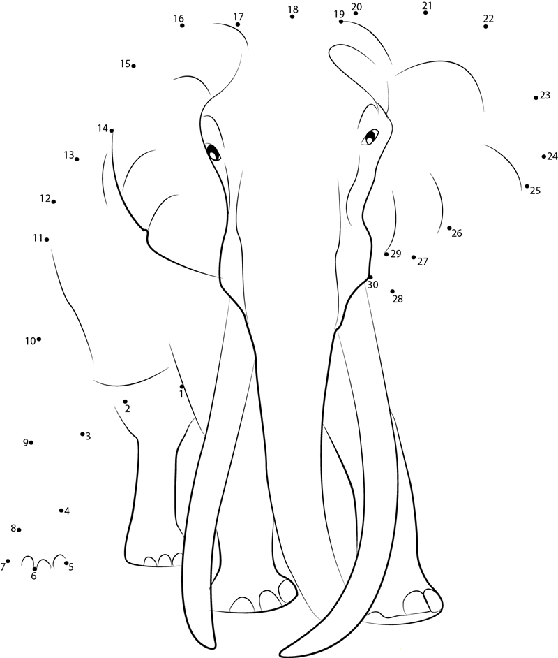 Adult Elephant dot to dot worksheets