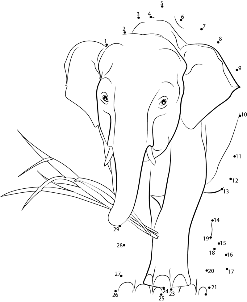 African Elephant Walking dot to dot worksheets