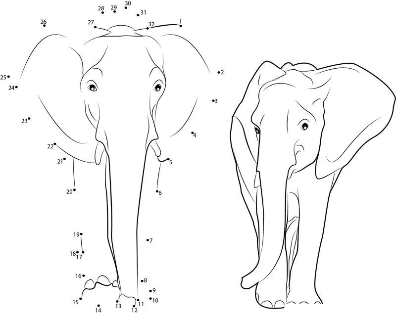 Asian Elephant dot to dot worksheets