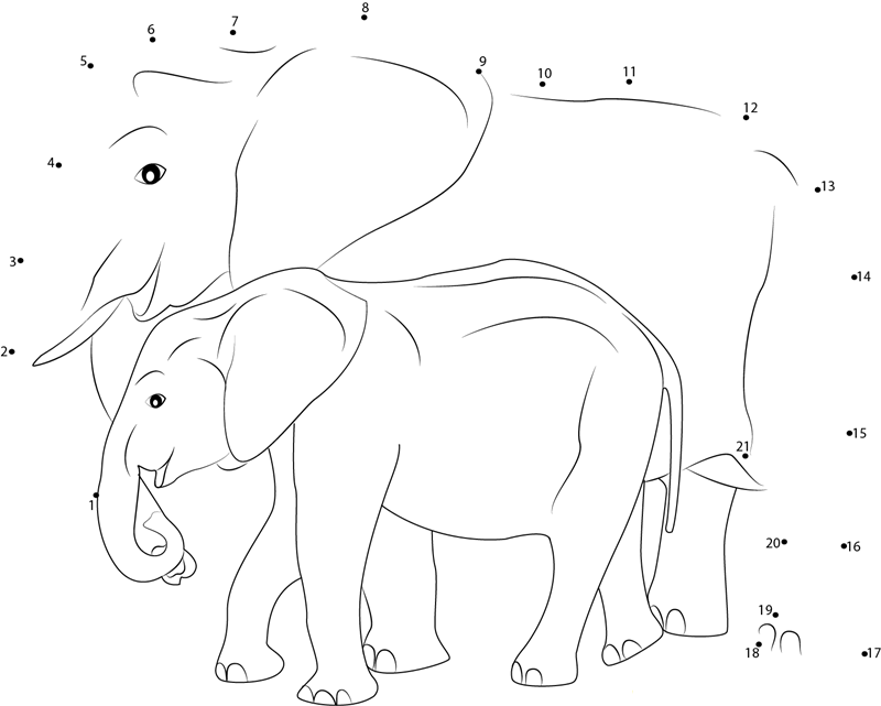 Baby Asian Elephant dot to dot worksheets