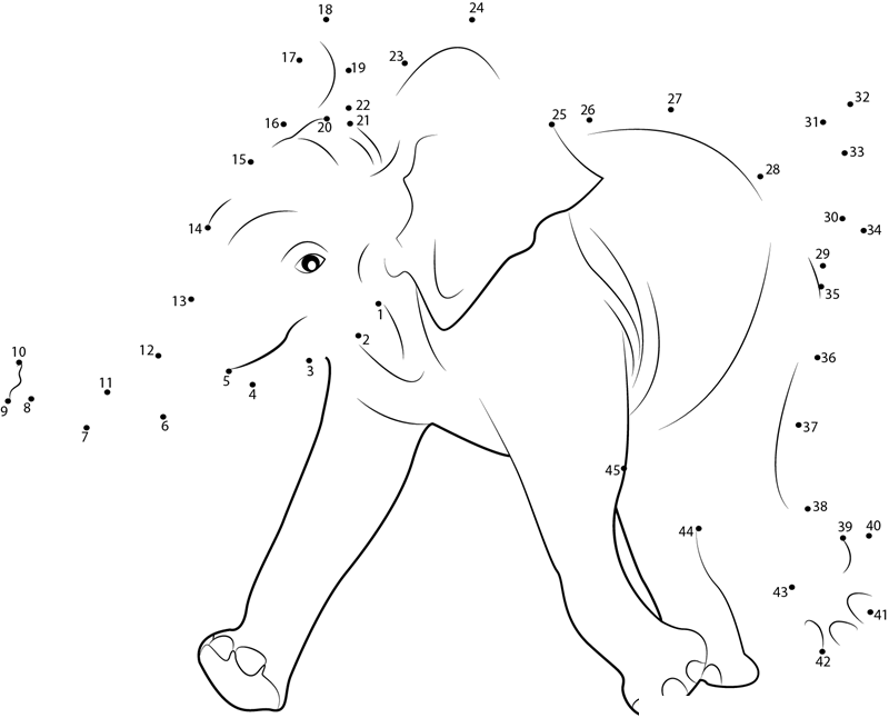 Baby Elephant dot to dot worksheets