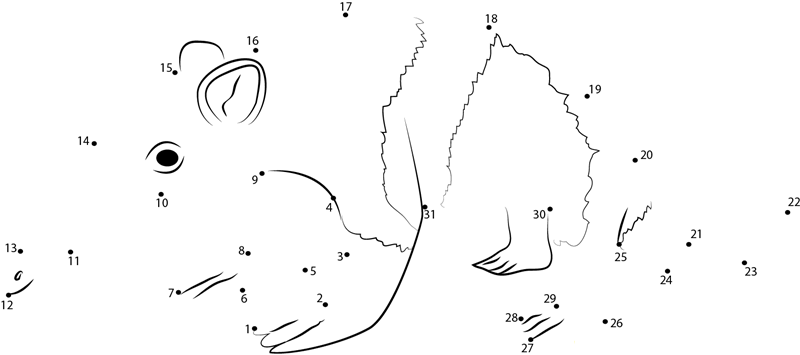 Small Anteater printable dot to dot worksheet