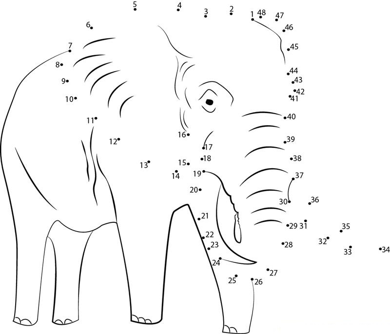 Elephant dot to dot worksheets