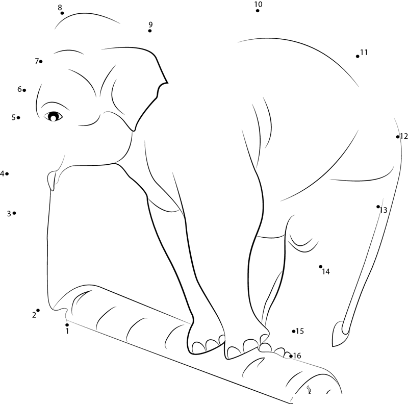 Elephant Balancing On A Log dot to dot worksheets