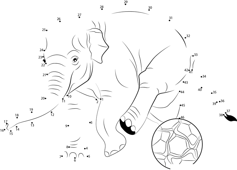 Elephant Soccer dot to dot worksheets