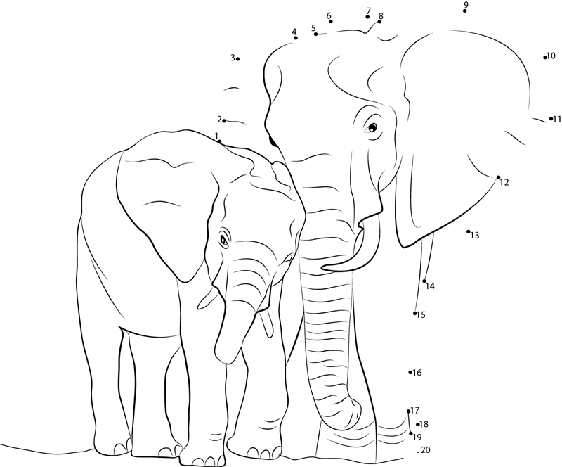 Elephant With Baby dot to dot worksheets