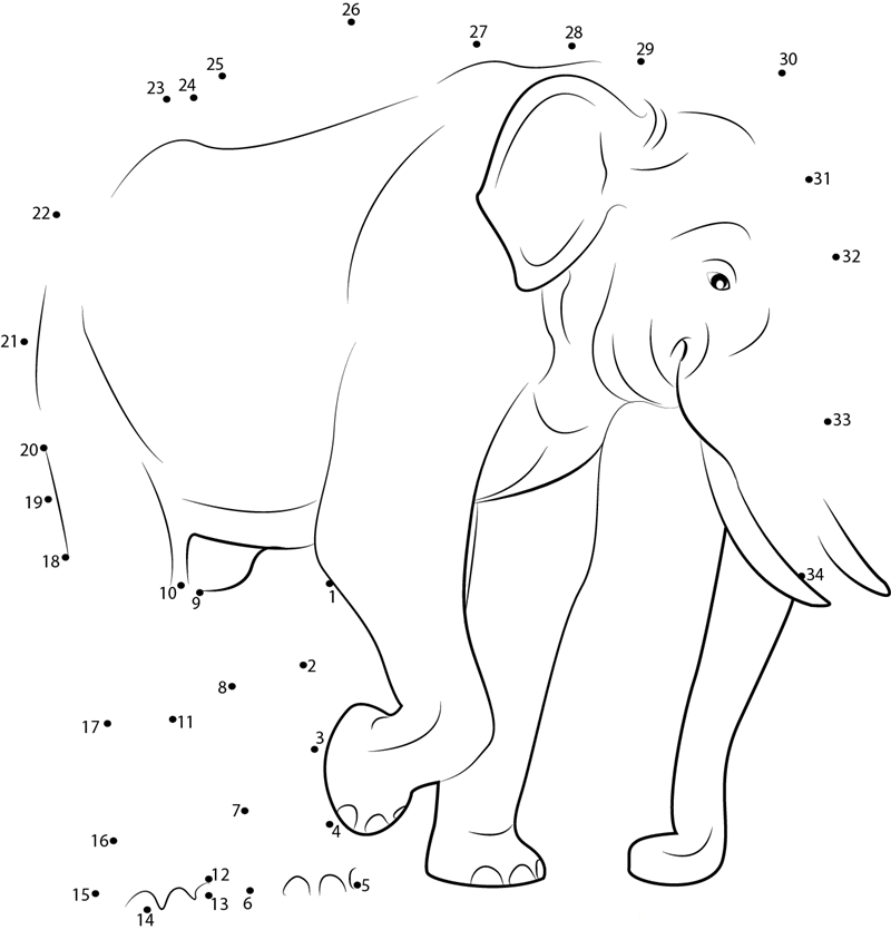 Indian Elephant dot to dot worksheets