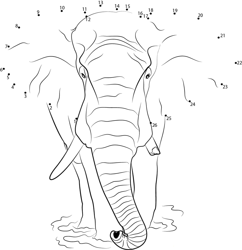 Loxodonta Africana Elephant dot to dot worksheets