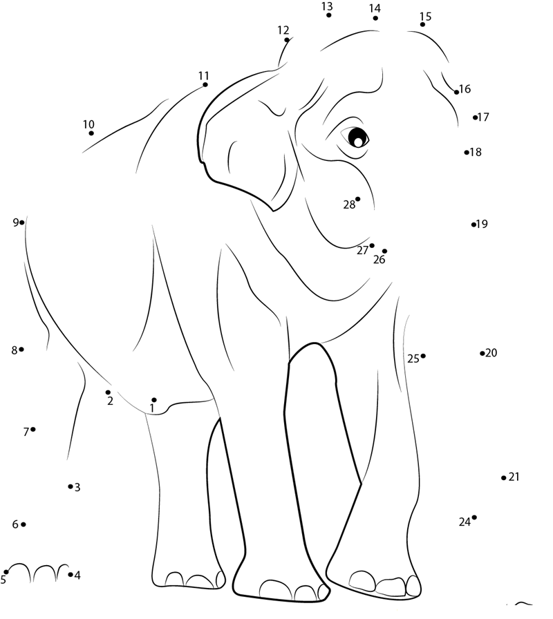 Male Asian Elephants dot to dot worksheets